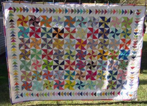 Pat Deck's Pinwheels and Geese quilt