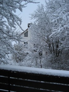 The view from Joshua's balcony.