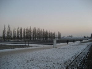 These trees were standing at the time of the holocaust