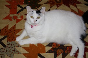 Poppy on Leaves quilt